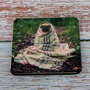 Custom Photo/Text Coaster