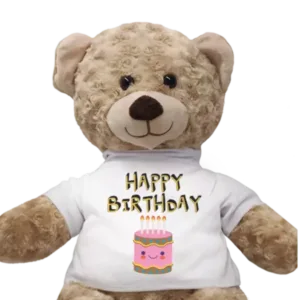 Birthday Teddy Bear
